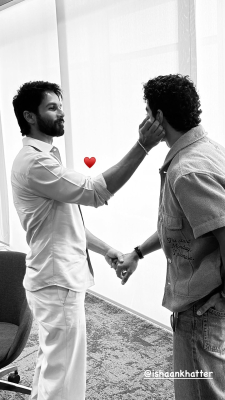 shahidkapoor-12-03-2025-0002.jpg