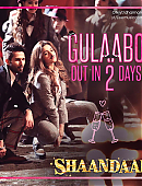 shahidkapoor-641286123319246848-20150908_215500-img1.jpg