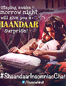 shahidkapoor-641680570758615042-20150910_000224-img1.jpg