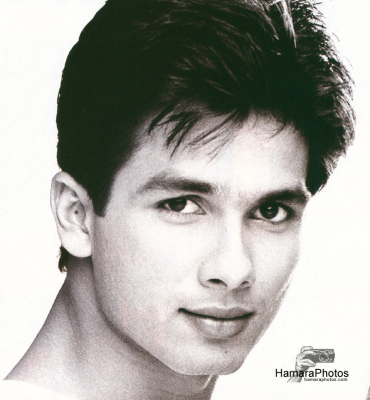 Shahid Kapoor shown to user
