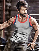 SHAHID_KAPOOR_014f831e-84db-44d7-acfc-91faaf08c802_900x.jpg